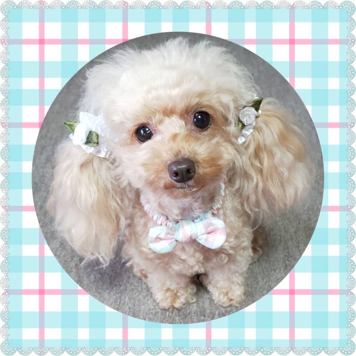 78d6b161 7ba0 4057 bd56 76db0f60cbe9 1576657562334