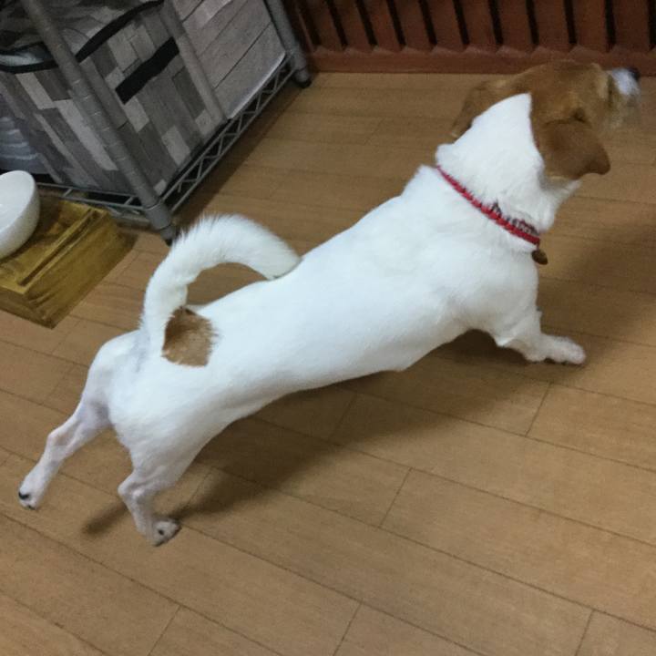 78d6d00f cf99 4482 9ea5 dca546736d47 1556578840818