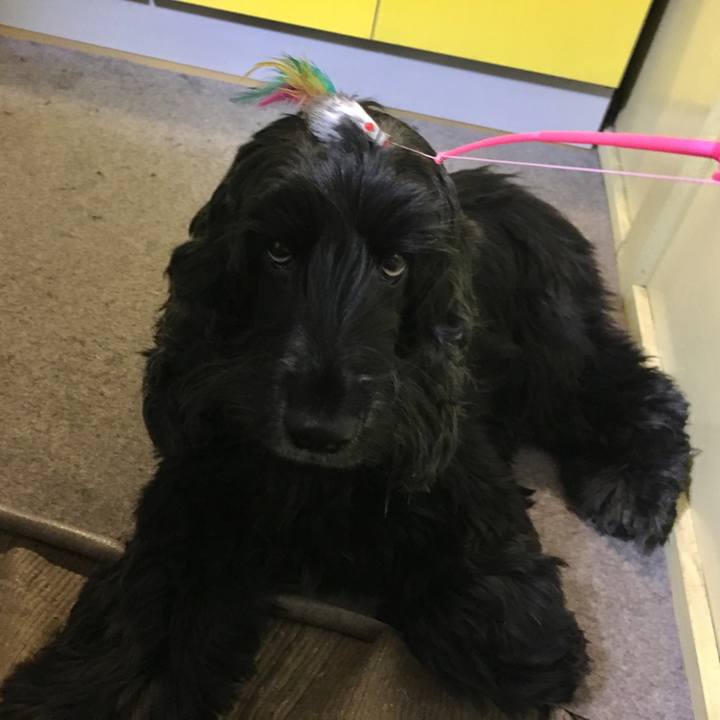 78d6ebdb 6954 42f8 9a50 3c56734b2b98 1510227110261