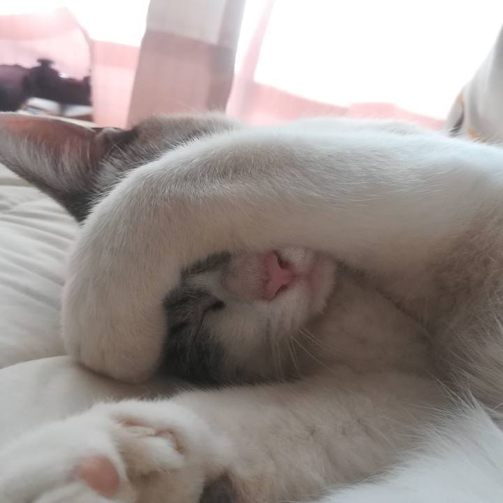 78d708de 0e8a 4813 81f7 739873910f32 1527988600560