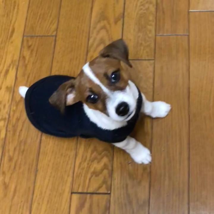 78d722dd ac62 4240 a37d 03f4625ff0fa 1514328506478