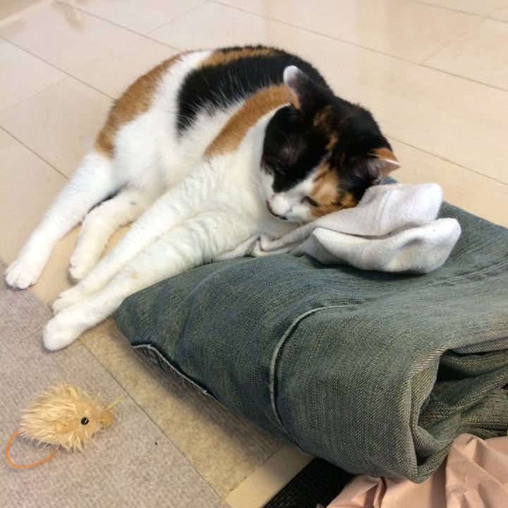 78d7368c cb8d 4d89 a4f7 0699e1b323cf 1594723303366