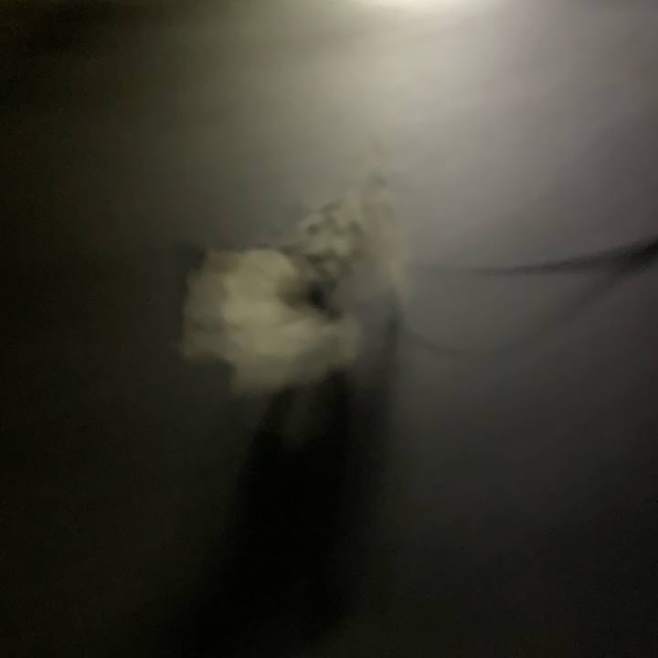 78d76247 481a 49e1 be52 28ab04967c20 1707658714430