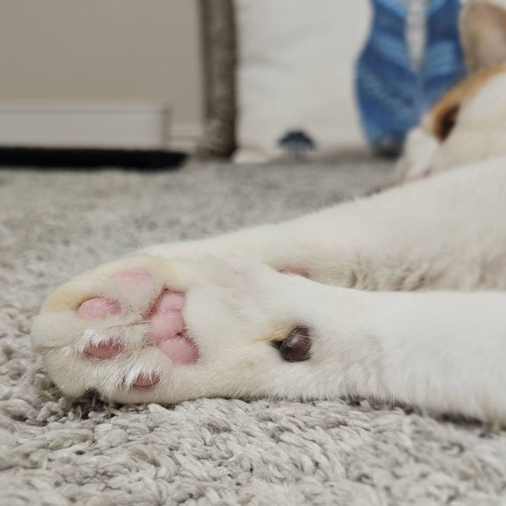 78d76307 1c6f 47eb a07d f699a908a4ec 1762820810652