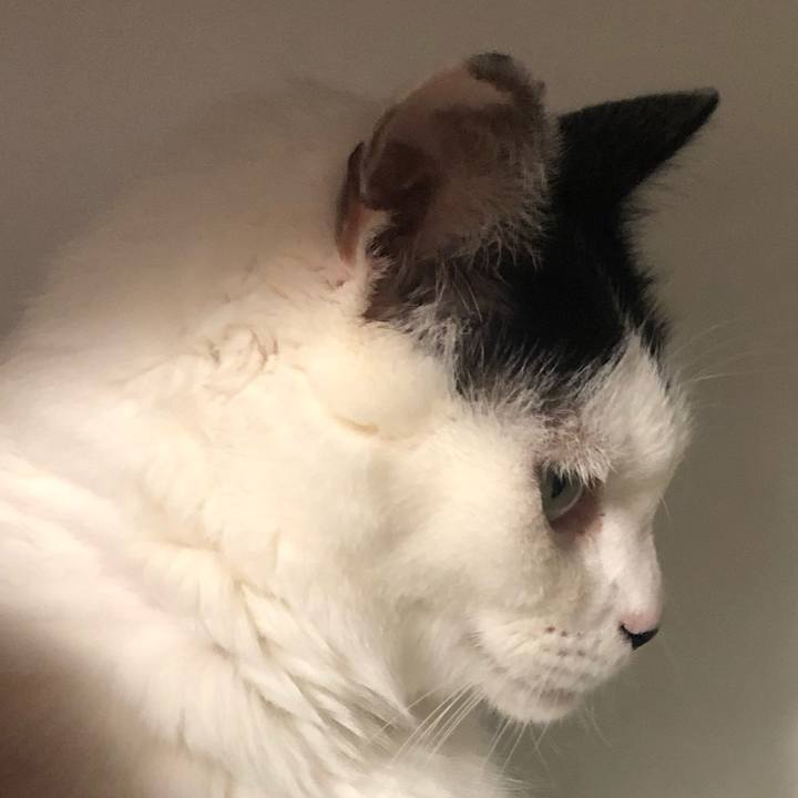 78d78fd9 775b 4571 8908 820257f447f2 1602684703886