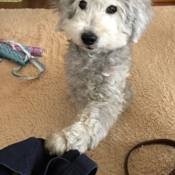 78d7a5ae 8a94 4967 88c8 57a0a6839311 1551755708271