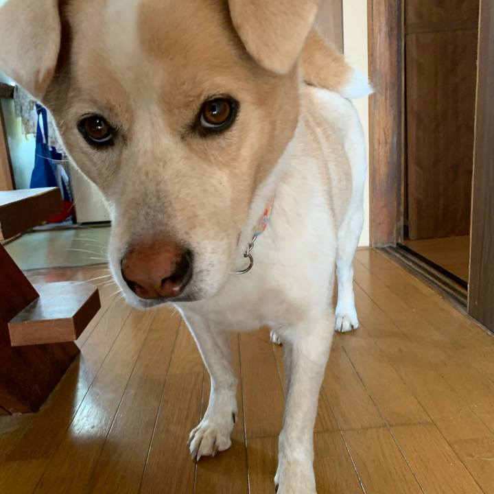 78d7b09f 8d50 4c2e b345 3a2076da22d9 1572742318771