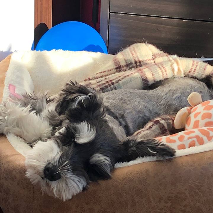 78d7b0e5 4f7d 4077 b4da 472fad27a429 1672035858944