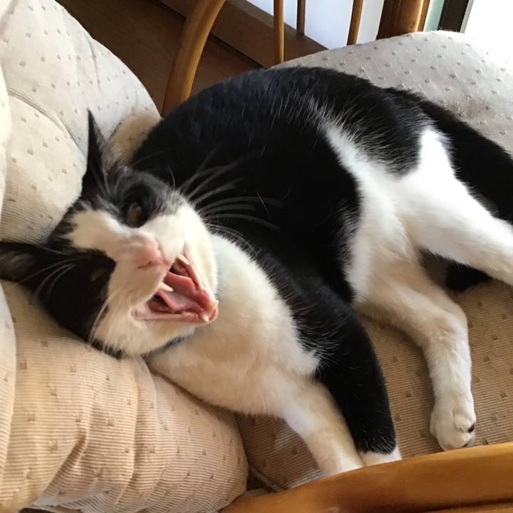 78d7c0fc 9c8c 47a7 a43d f03befcdf698 1753865563372