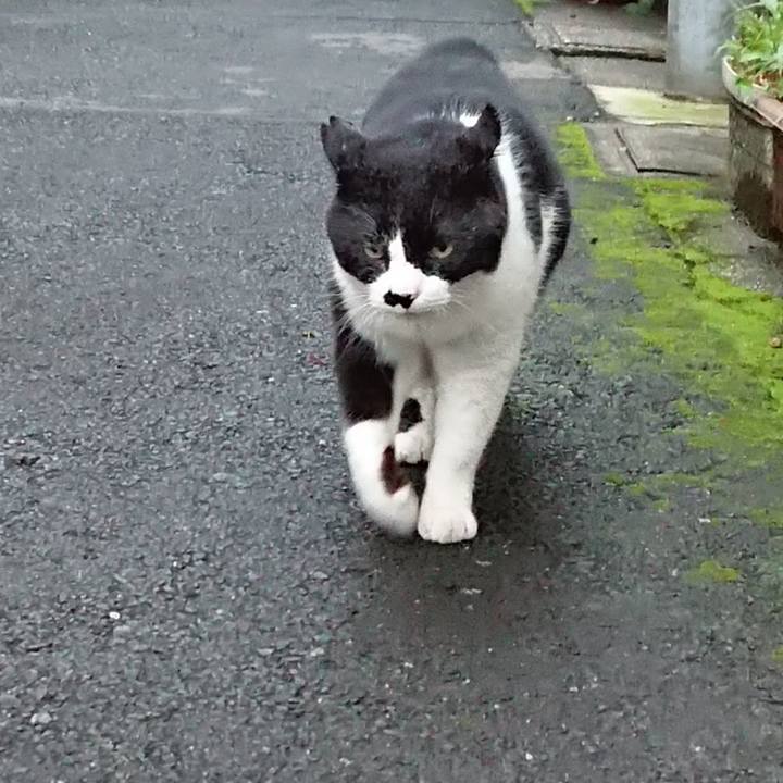 78d7dc1e 8933 45aa b850 105791edbad2 1625480801023