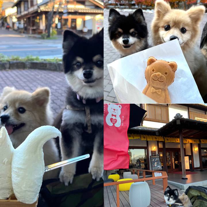 78d7dd82 ccee 4548 b467 bda37eab026a 1668068402830