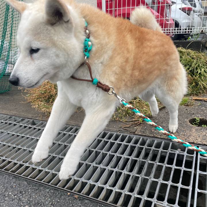 78d82a42 2b07 40f0 aa39 fa689c51463a 1657041985729