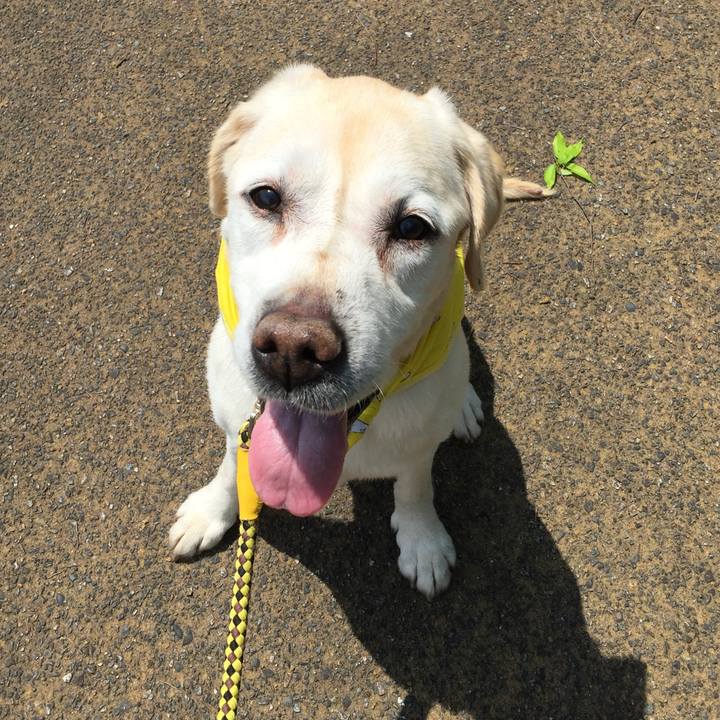 78d84258 fbe1 4cbe accd bc2d59637164 1525511979184