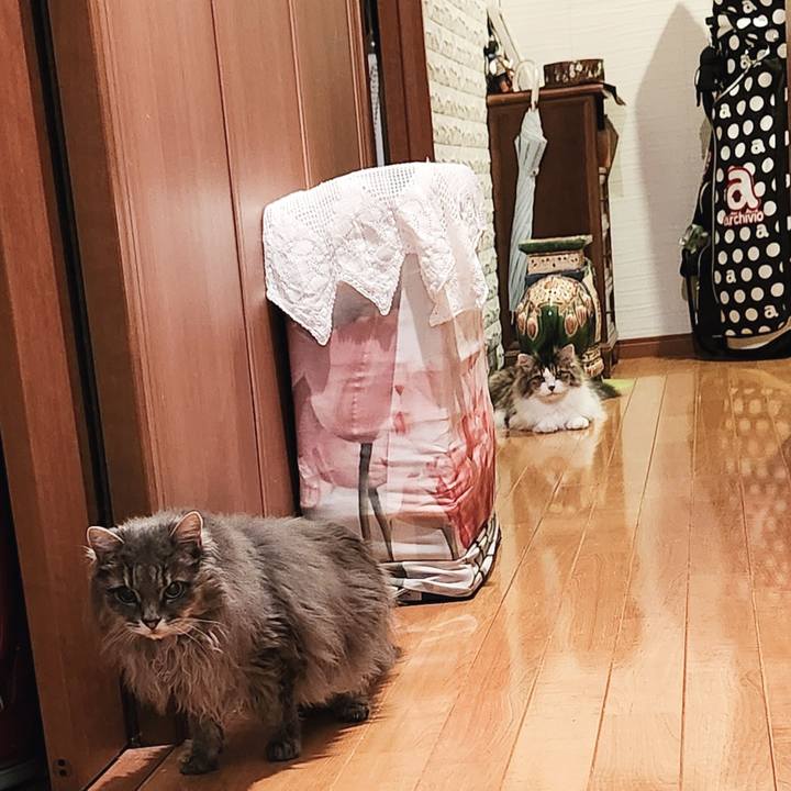 78d851da 923e 43b1 b257 abceacc043d3 1752318948555