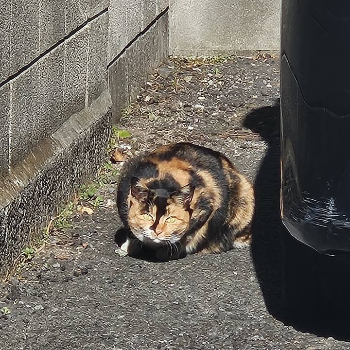 78d85d2b 3c92 42a3 a454 1a54b4569763 1736734154136