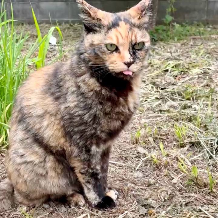 78d8610c 667d 4602 bc1e a99e3dcbc998 1748483838796