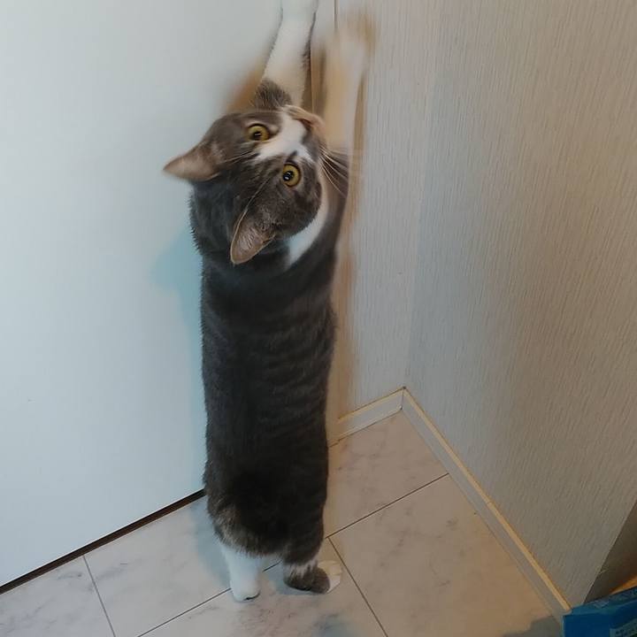 78d8c3fb dcbc 413d bcc8 7ba8d6d90145 1581375901962