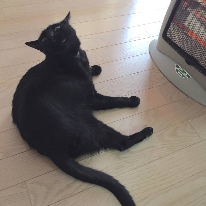 78d8d185 0dd6 4d47 9c43 c8a7bb6798f6 1511314727563