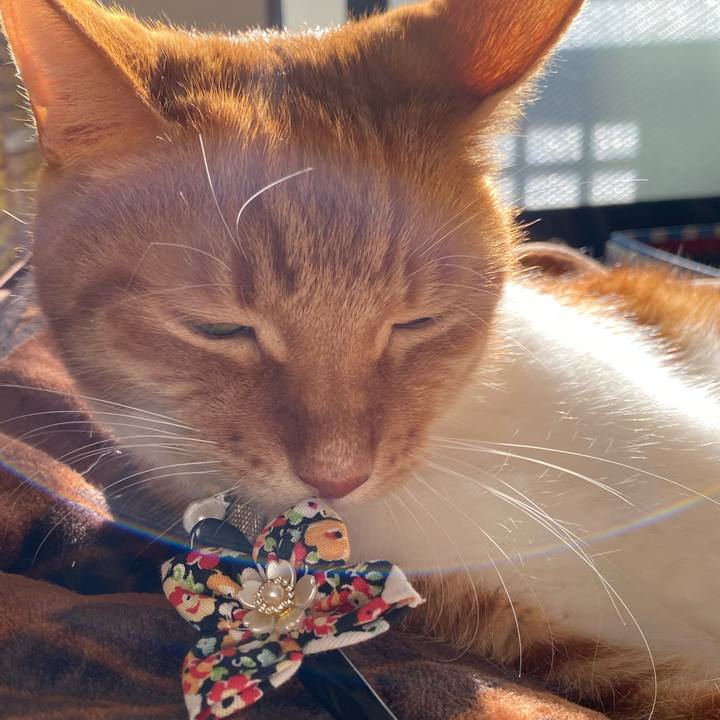 78d8f153 ae2f 448a 8d0b b5f3a2c046c8 1733570563936