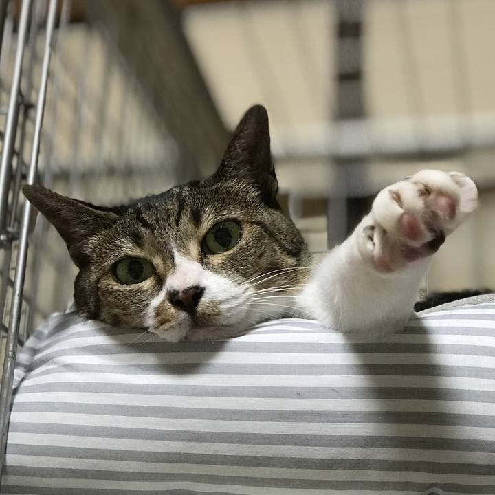 78d98319 3a7d 4472 8968 3b57bdb48925 1532480572798