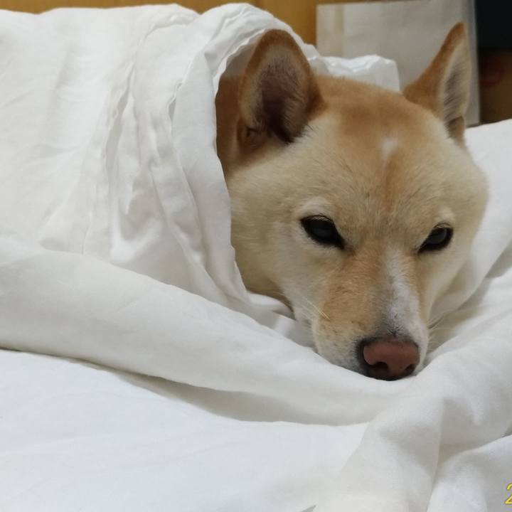 78d9909a 8724 4429 8d83 65e711991c92 1570019397857