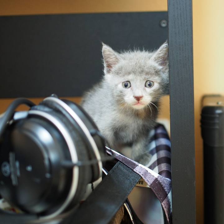 78d9dabe d63f 4b17 8836 071a89ed8ac4 1570101508988