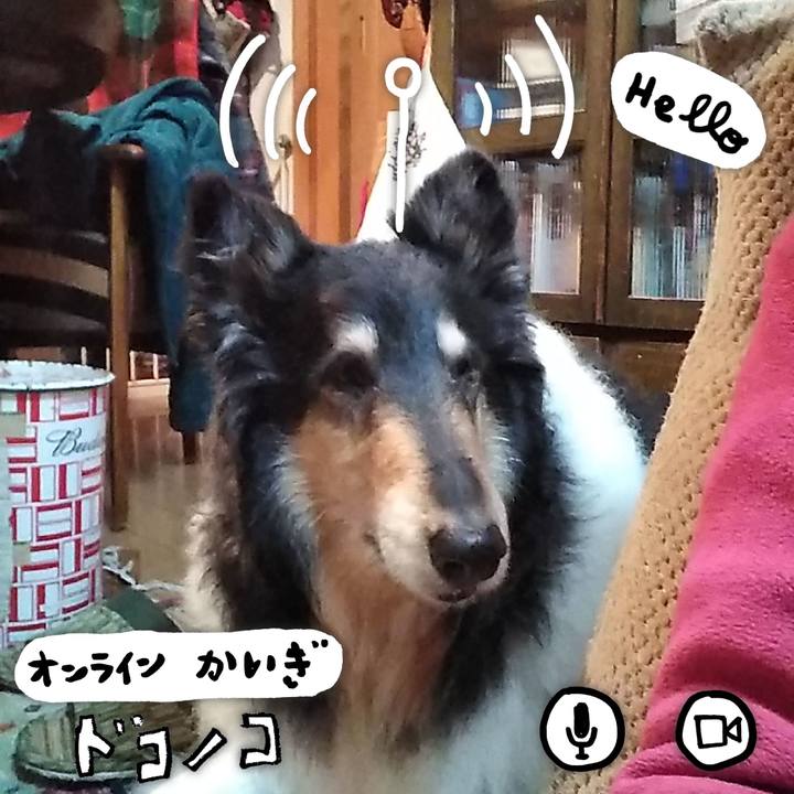 78d9dd18 9339 492c b10b a6d8f53fb51f 1590845084704