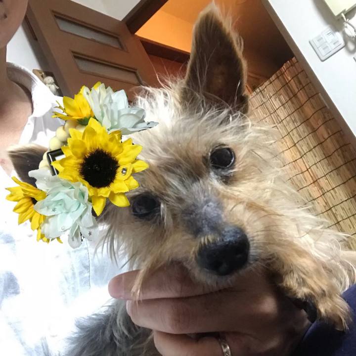 78d9df05 3b59 42a3 b511 7b8e7922747b 1566486396383