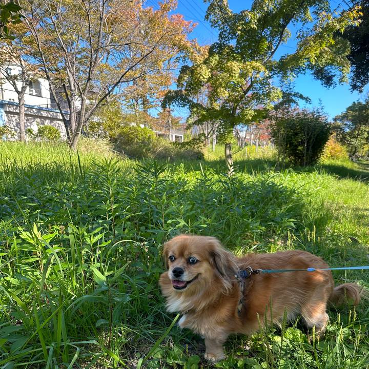 78d9df84 cbaf 4b56 ba1c 7f4f045b6f4d 1698540372532