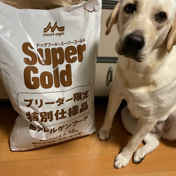 78da0fe5 bbba 4ef3 a82f 32f01cf66fb0 1637758667919