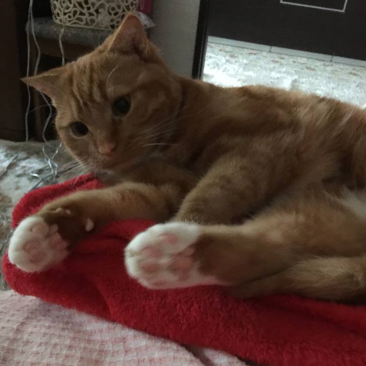 78da2295 192a 4304 bae3 e285d6b3f0c0 1528516631323