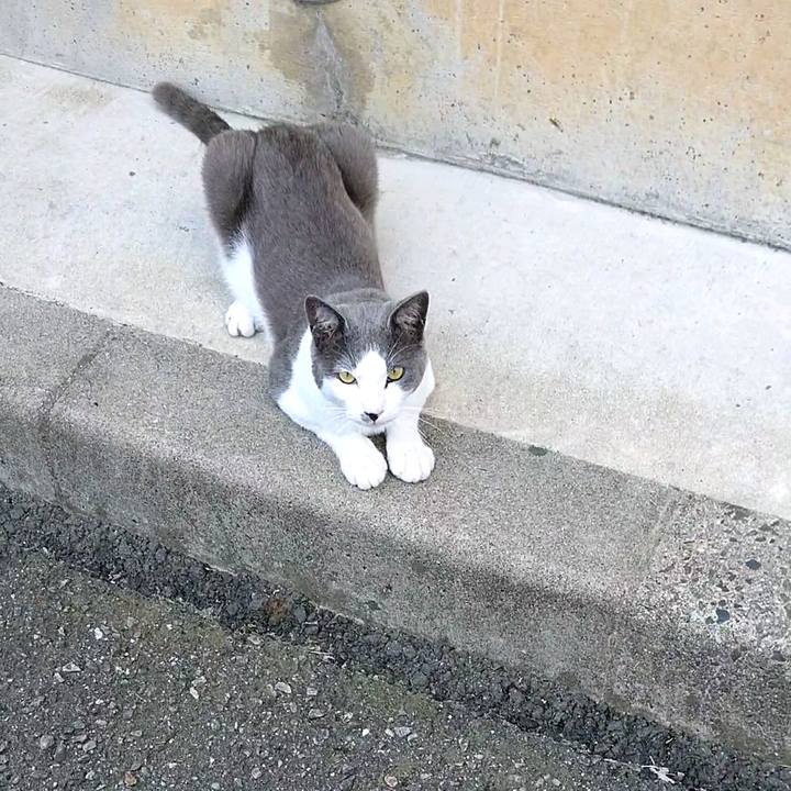 78da22fc cb7e 472e 8524 1808ebb7f448 1595126302296