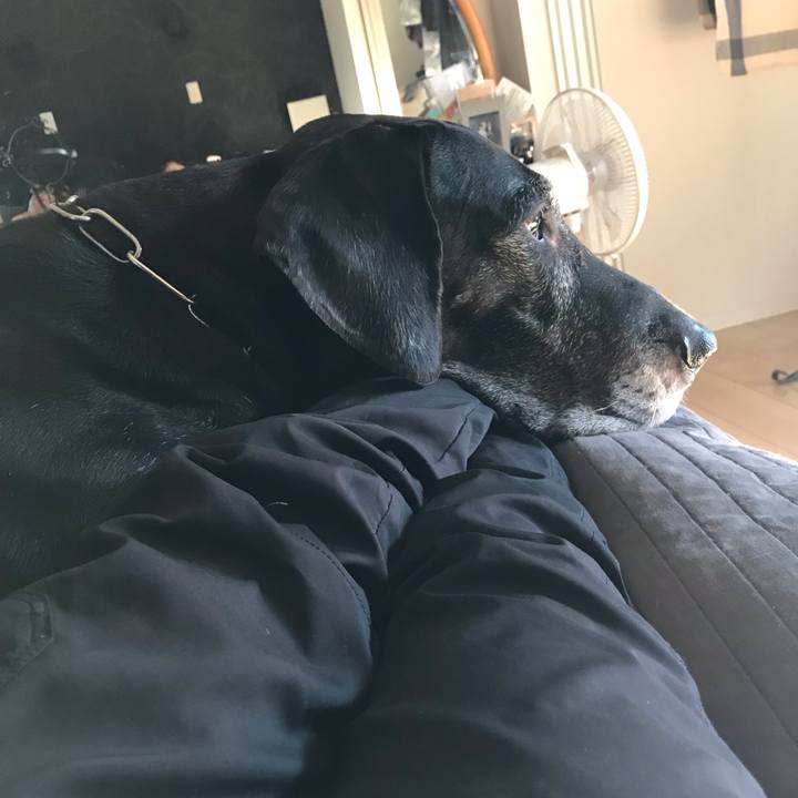 78da35d9 a640 40fc 969f 8feac67ca6c7 1541894430381