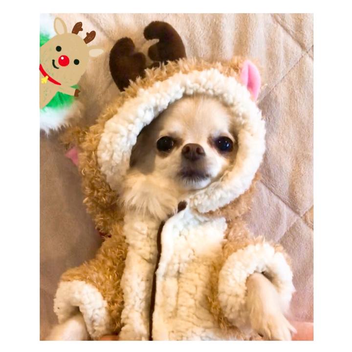 78da4268 ea3e 4823 a18e 7a5c5dc140eb 1514112386079