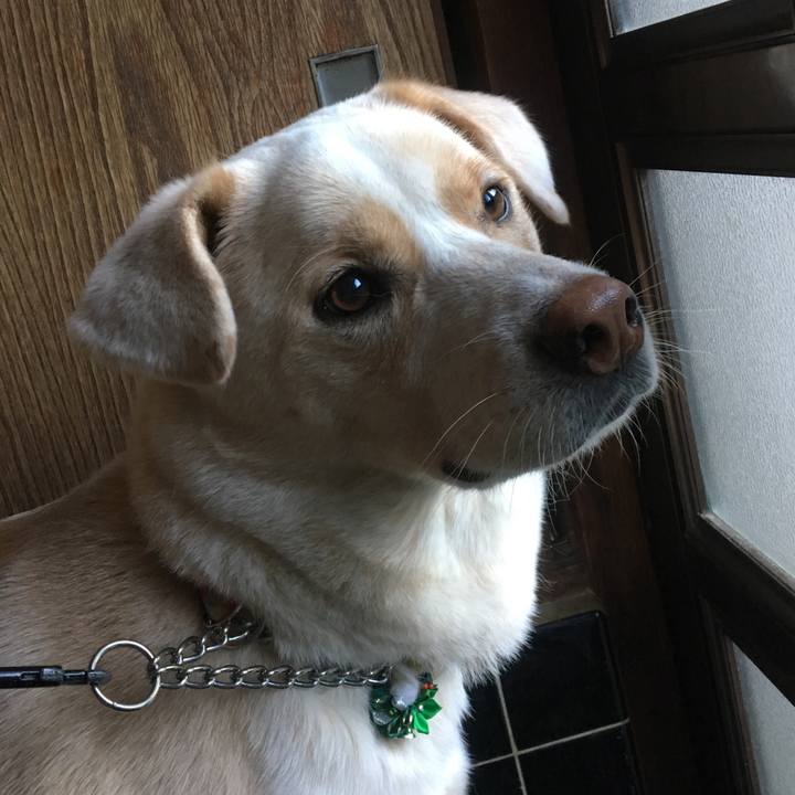 78da673a aca5 4479 8af9 fdcb7ccf5a0a 1513567276165