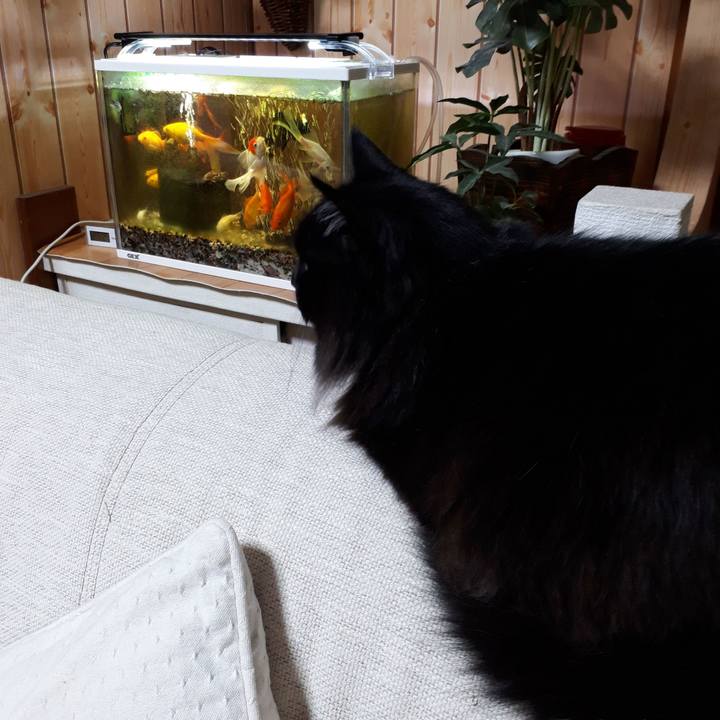 78da97cc c87f 47e2 9621 1dbf6b0dadfb 1520542088001