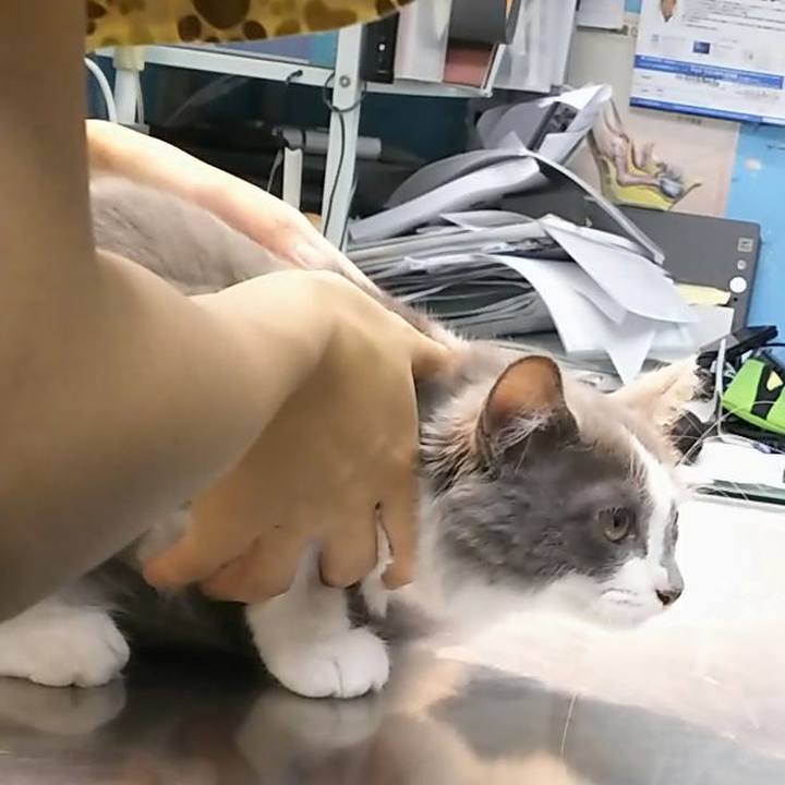 78daa141 8eb8 474f 995d b80549e815c6 1566466474009