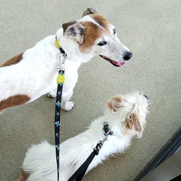 78dab53e 00f0 41f5 8e62 fad4448f2414 1558748393713