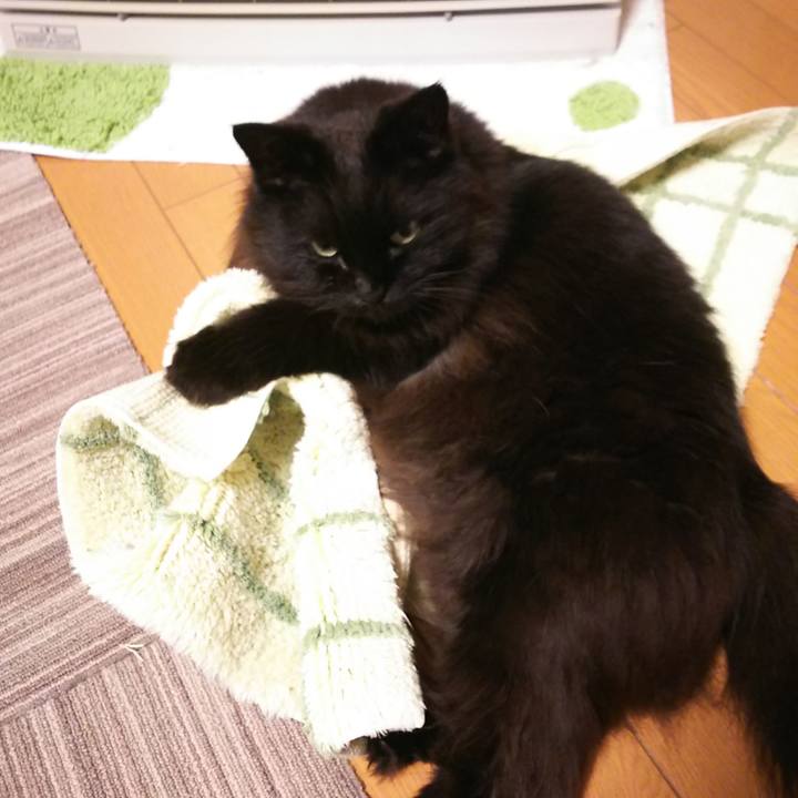 78dab575 18b8 448d 868d ba5a471b1beb 1553853209333