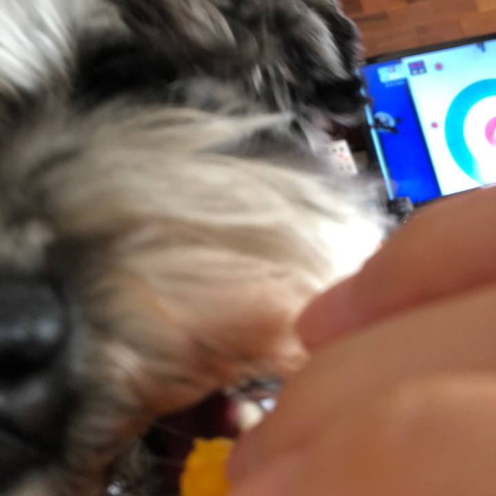 78dac600 a13f 42cf 8d9c 34cdac66e6e1 1644558938096