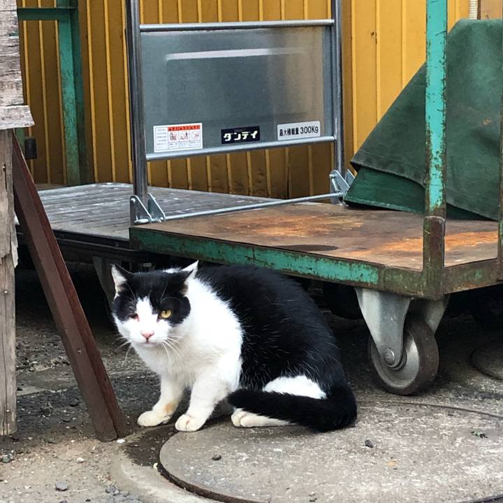 78db12ea 42b2 48c4 ae9b 46e22ffa69e5 1575207338272