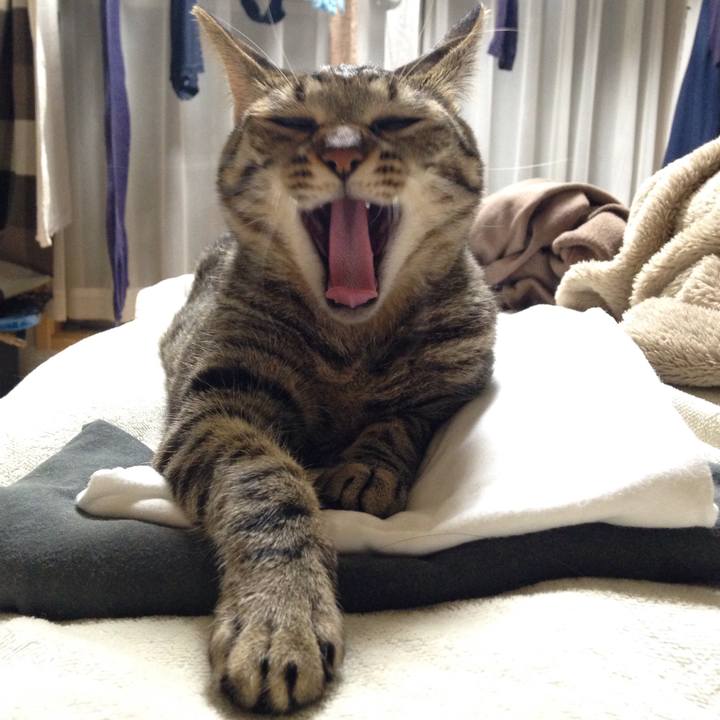 78dbcbfa ac4d 4d59 a668 d93c0625e2c2 1508639557468