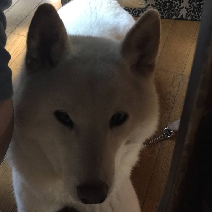 78dbf08a 1041 4f80 9dac 03af20b00c9d 1547336023187