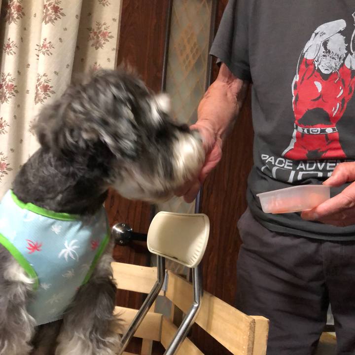 78dc14e5 9c5d 4dbe 921b 69bf13ad3e9f 1628942828670