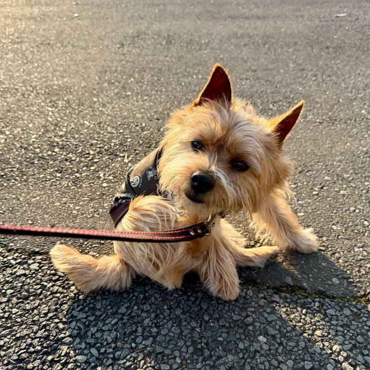 78dc2a91 e025 401f a3ff bc22d13e898d 1771187979286