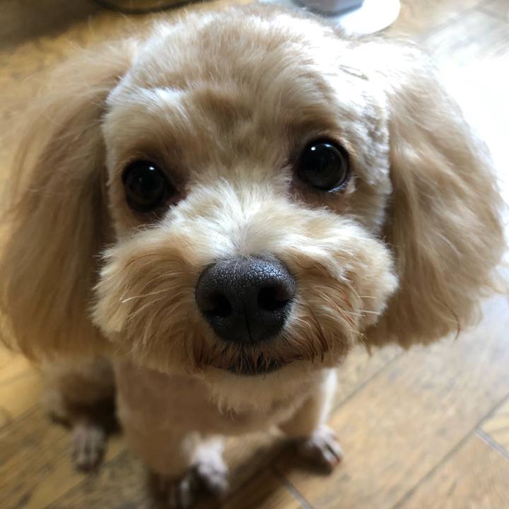 78dc46f1 d46c 498b a536 18eef7edffdf 1661572056431