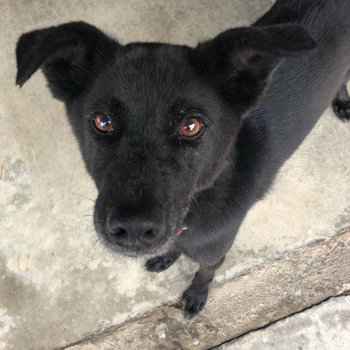 78dc5c42 1131 444c a5ff 5d359d111898 1562922869538