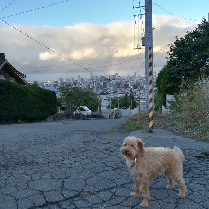 78dd076b a2a4 466f acce 6d5ca4d92048 1538903267780