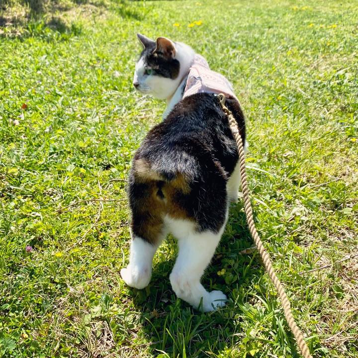 78dda7d9 6bab 434c a6c4 f14e8e9ab6ba 1618029842923