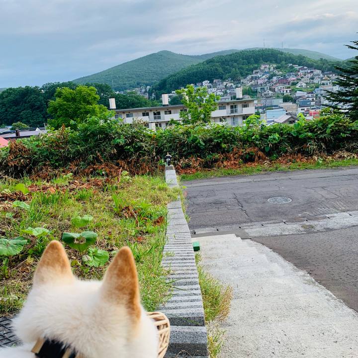 78ddb79e d7e8 44f1 839d 7160c58e71d1 1563396073757